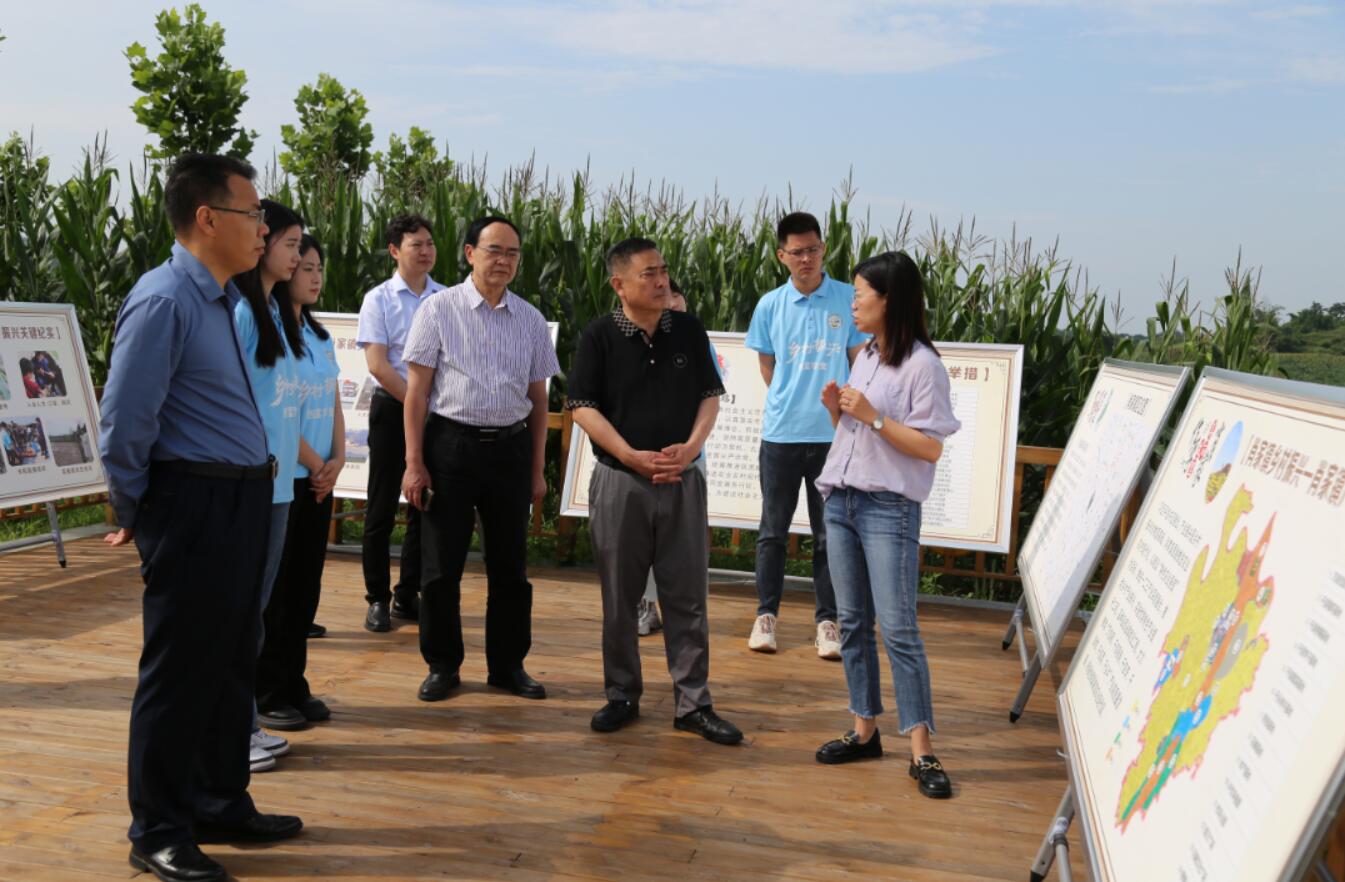 镇龙珠体育直播首次注册政府班子成员参