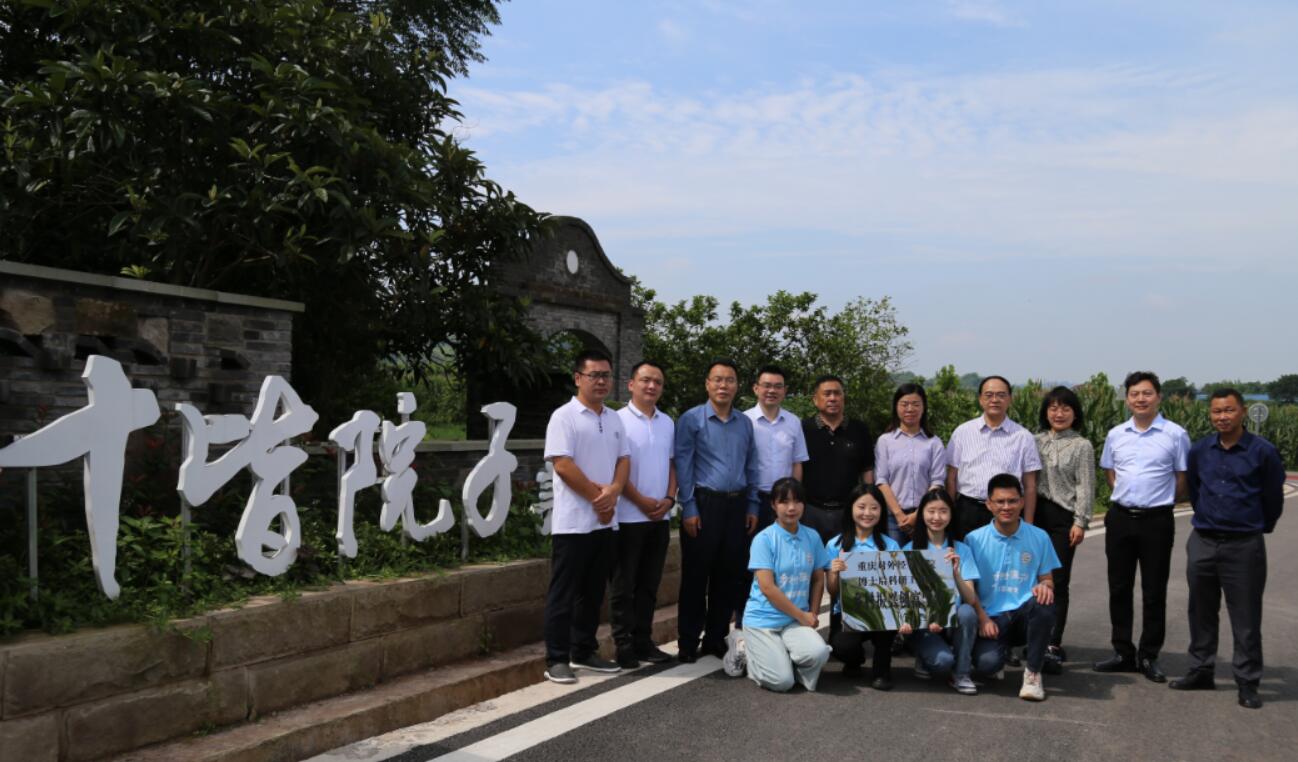 积极倡导乡村建设“十皆”