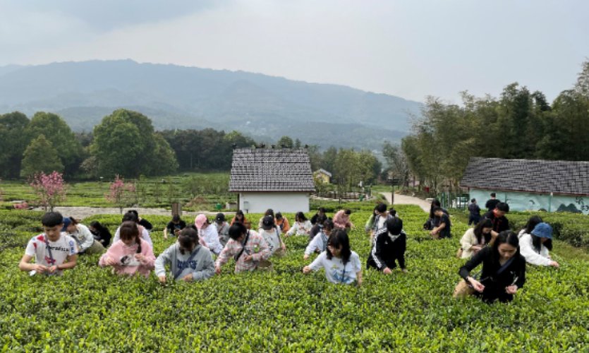 安溪镇是铜梁南部的一个山区镇