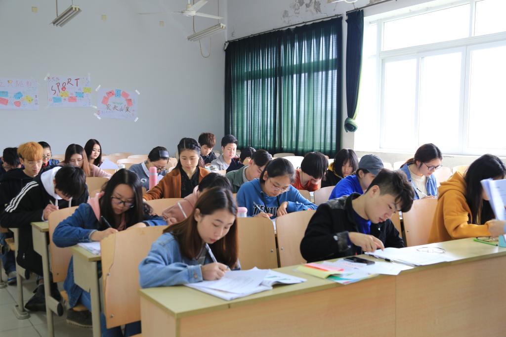 营造龙珠直播入口操作说明创新氛围