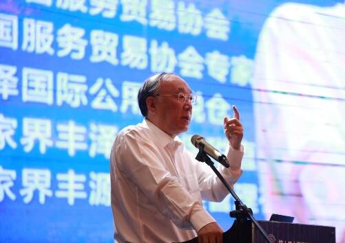 中国国际经济交流中心副理事长