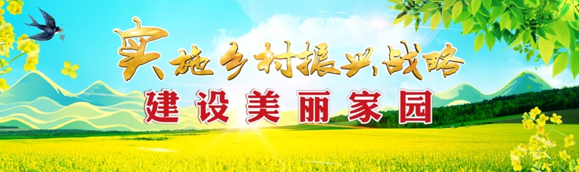龙珠直播入口新人权益 点击