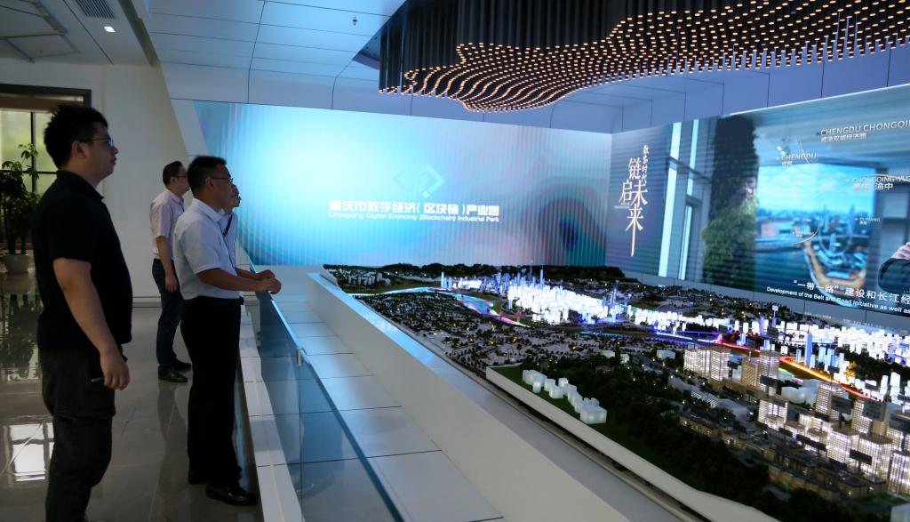 事实上该园区是全市加快数字产业培育及