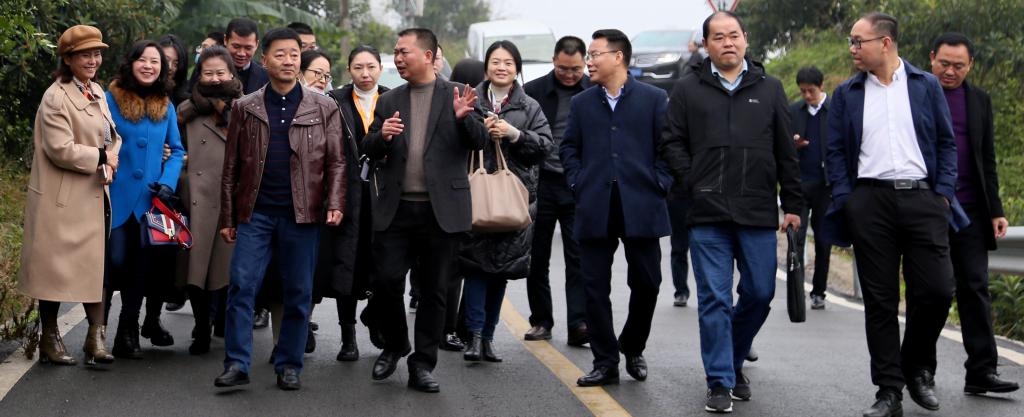 区乡村振兴帮扶单位也一同参加了上述调