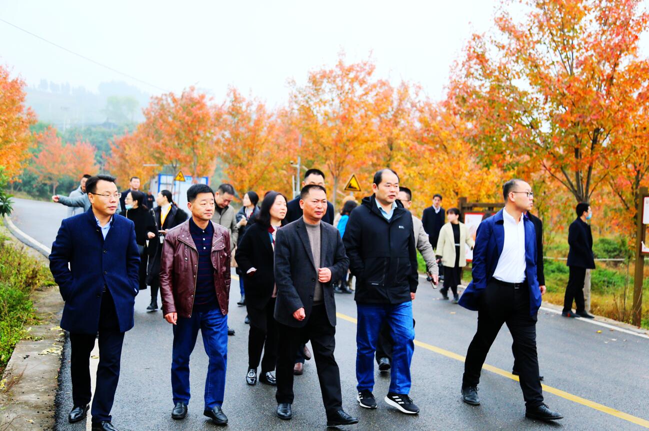 为乡村振兴事业结伴而行